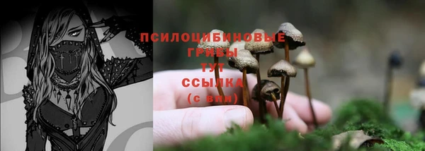 соль курить ск Алзамай