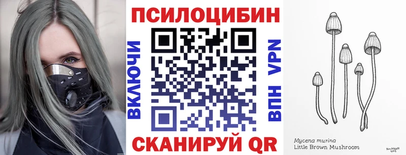 Псилоцибиновые грибы Psilocybine cubensis  Могоча 
